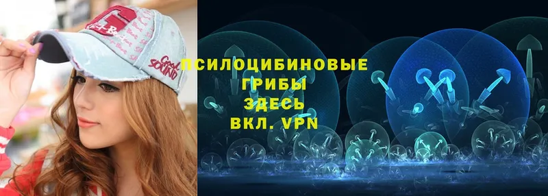 Галлюциногенные грибы GOLDEN TEACHER Вилючинск